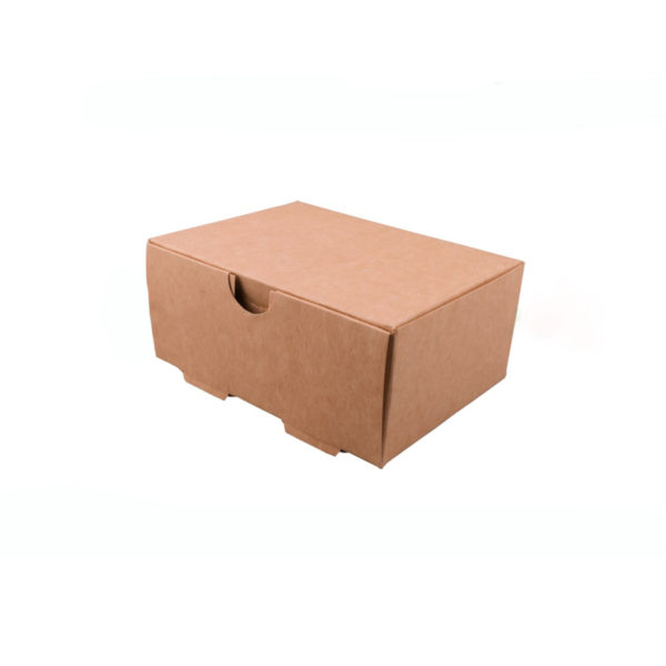 CAJA 1ROLL (12,5x9,5x5,5cm) (650ml)(uxc300)