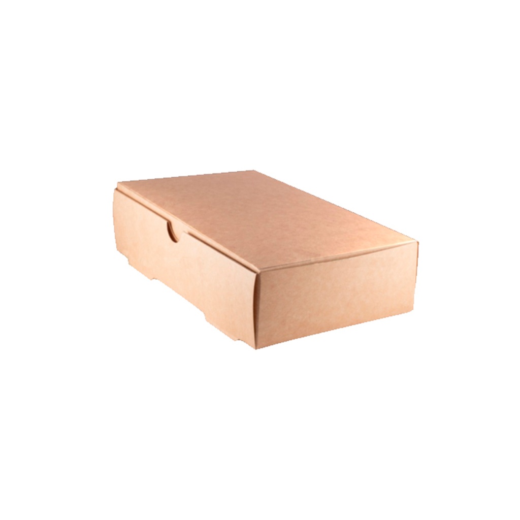 CAJA 3ROLL (22x13,5x5,5cm)(1600ml)(uxc300)